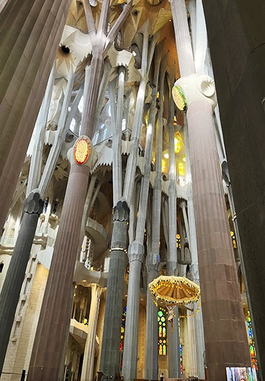 Roger Hunt Travel Agent / Advisor Pictures